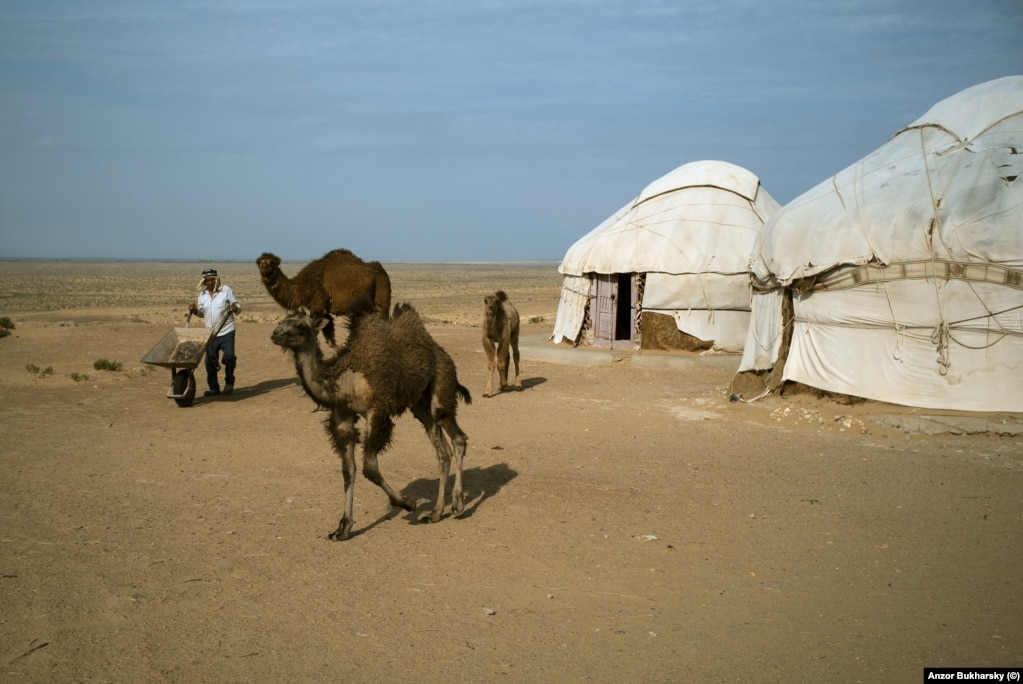 Yurts at a roadside stop in the empty expanse of the Karakalpakstan desert. The roadside attraction is run by camel breeders.