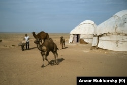 Yurts at a roadside stop in the empty expanse of the Karakalpakstan desert. The roadside attraction is run by camel breeders.