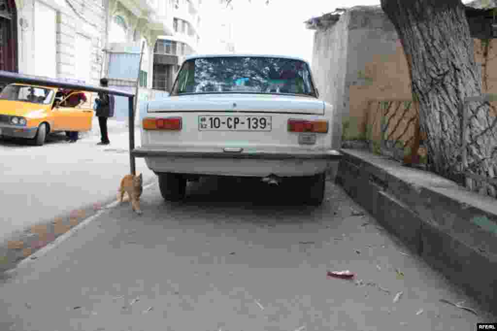 Bakının maşınla dolu səkiləri #7