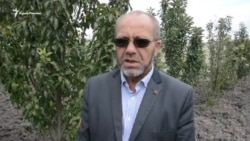 Как голосовали на выборах в Госдуму России крымские татары (видео)