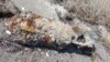 На берегу Керченского пролива нашли авиабомбу весом 100 килограмм – Росгвардия