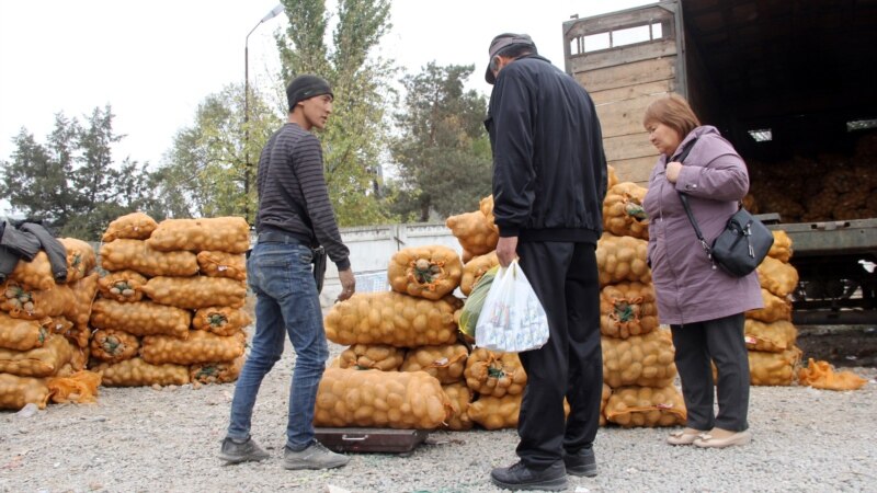 Статкомитет: Кыргызстанда айыл чарбасы кедерине кетти