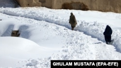 آرشیف، عکس جنبه تزئینی دارد