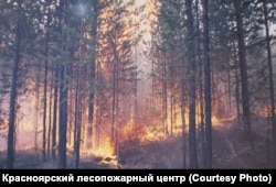 Фото: Красноярский лесопожарный центр