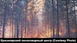 Лесной пожар. Красноярский край