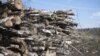 Москву лишают лесозащитного пояса