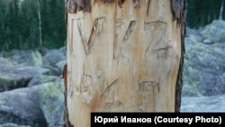 Надпись на "дереве жизни"