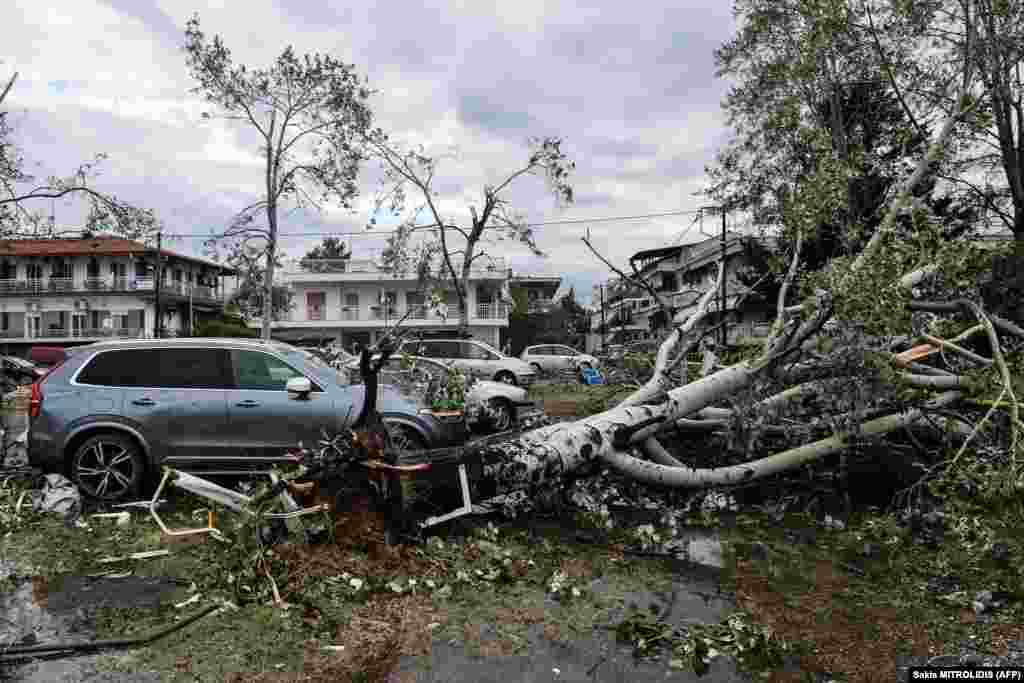 GREECE -- A picture taken on July 11, 2019 shows broken trees fallen on cars after a storm in Nea Plagia, in Chalkidiki, Northern Greece. - Tornadoes and violent hailstorms killed six tourists in northern Greece late on July 10, 2019,