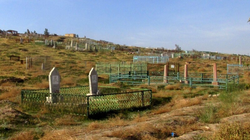 Ahalda gonamçylyklara gözegçilik güýçlenýär, işanlar, palçylar, tebipler soraga çekilýär