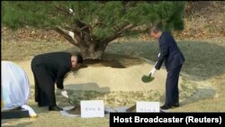 Președintele Moon Jae-in și liderul nord-corean Kim Jong Un platează simbolic un pom la Panmunjom, 27 aprilie 2018