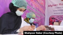 کار شماری از زنان در یک فابریکه پروسس زعفران در هرات