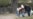 SERBIA - BELGRADE - CACILEND - 'Pionirski park' - PEOPLE CLEANING