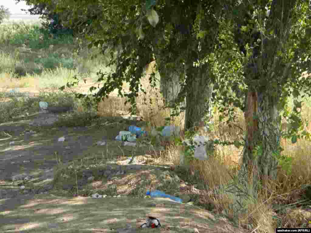 Seýilgähleriň birinde zyňylan plastik çüýşeler