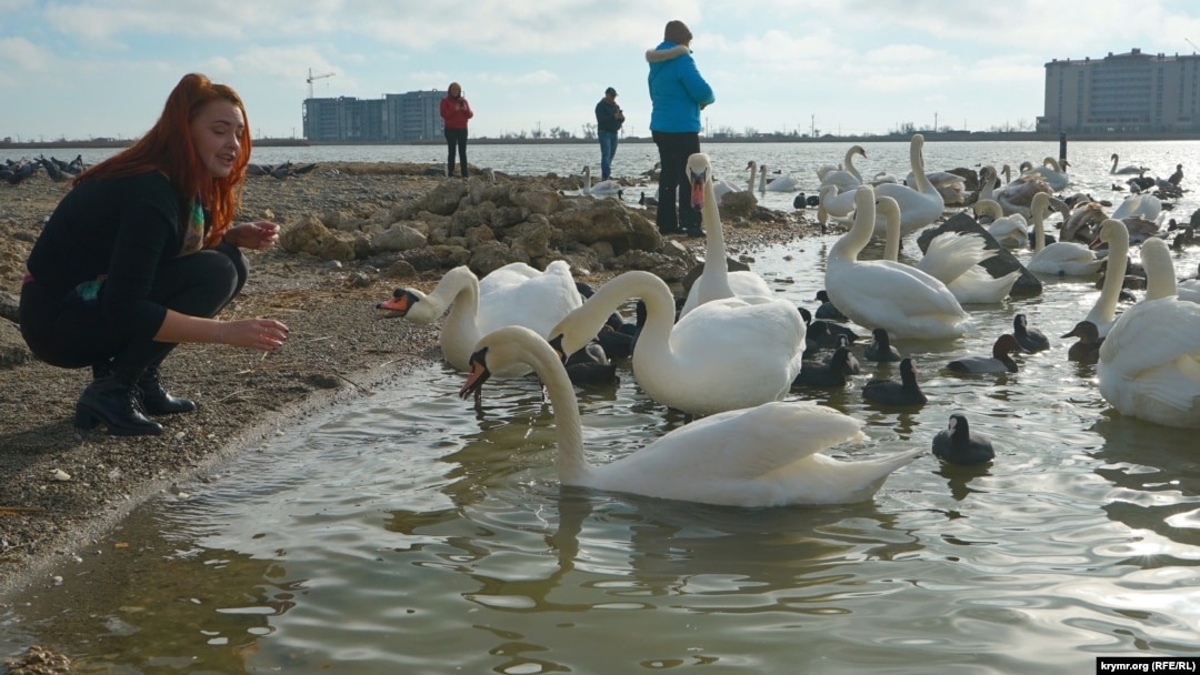 Іш киімдегі супер әйелдер еркектерді жұлқылайды