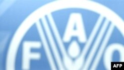 Лого Продовольственной и сельскохозяйственной организации ООН