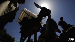 Afghan men load election supplies onto their donkey in the rugged mountains of the Panjshir Valley in August 2009