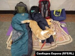  Това сега е домът на част от сътрудниците на Оля. Те също са на положителни позиции в интернационалната компания, в която работят. Сега се крият в метрото. 