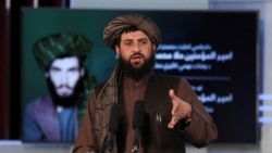ملا محمد یعقوب مجاهد، وزیر دفاع حکومت طالبان