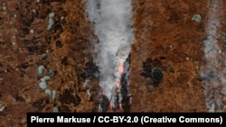 Снимок спутника Copernicus Sentinel пожаров в Тюменской и Омской областях, 15 апреля 2022 года