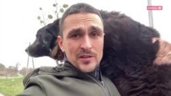 «Он вообще не умеет ходить на поводке»: дрессировщик спасает брошенных из-за войны животных