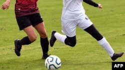 تصویر آرشیف 