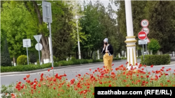 Turkmenistan. Woman with mask crossing the road. Road signs. Flowers. City. Ashgabat. April 2022