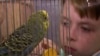 GRAB From Mariupol To Montenegro: A Ukrainian Boy And His Parrot Find Refuge