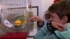 GRAB From Mariupol To Montenegro: A Ukrainian Boy And His Parrot Find Refuge