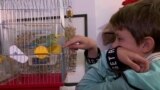 GRAB From Mariupol To Montenegro: A Ukrainian Boy And His Parrot Find Refuge