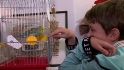 From Mariupol To Montenegro: A Ukrainian Boy And His Parrot Find Refuge