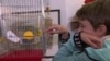 From Mariupol To Montenegro: A Ukrainian Boy And His Parrot Find Sanctuary 