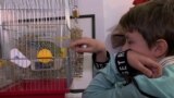 Boy from Mariupol with his parrot in Budva, MNE