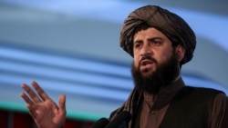 ملا محمد یعقوب وزیر دفاع طالبان، عکس از آرشیف