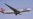 New U.S. Air Travel Screening Rules