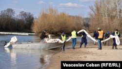 Salvatori și specialiști de mediu lucrează la instalarea unui baraj absorbant pe Nistru, în apropiere de satul Coșnița, raionul Dubăsari, 16 martie 2026.