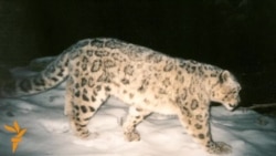 Жаһан жаңалықтары, 2013.10.22