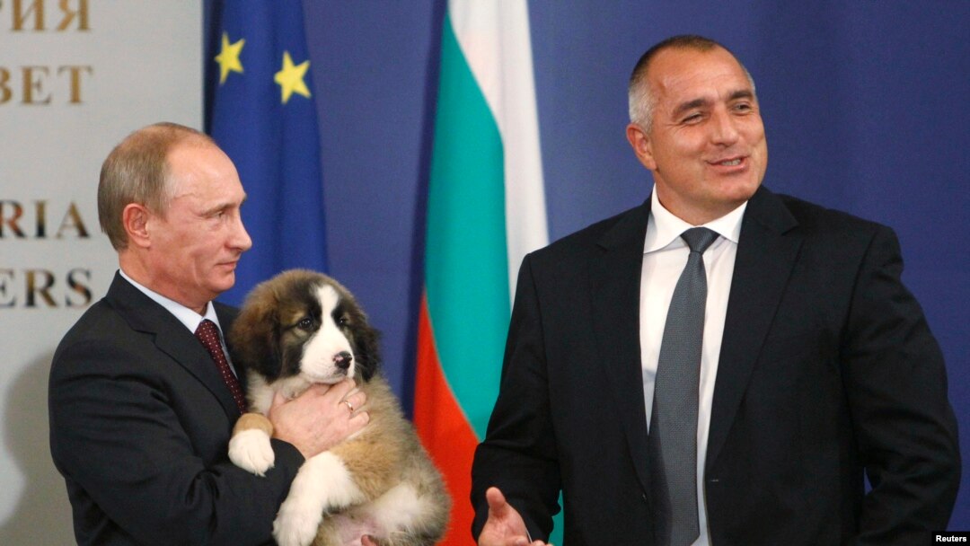 Премиерът Бойко Борисов подарява на руския президент Владимир Путин куче по време на визитата му в София, 13 ноември 2010 г.
