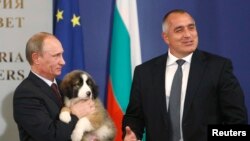 Премиерът Бойко Борисов подарява на руския президент Владимир Путин куче по време на визитата му в София, 13 ноември 2010 г.