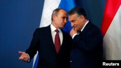 Presidenti rus, Vladimir Putin diskuton me kryeministrin hungarez, Viktor Orban përpara një konference të përbashkët shtypi. Budape, 17 shkurt 2015.