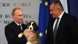 През 2010 г. Бойко Борисов подари на Владимир Путин българско овчарско куче. При посещението му тогава беше подписано споразумение за газопровода "Южен поток".