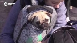 «Мы 30 дней прожили в подвалах! Надо прийти в себя после этого кошмара». Из Мариуполя удалось выехать четырем эвакуационным автобусам 