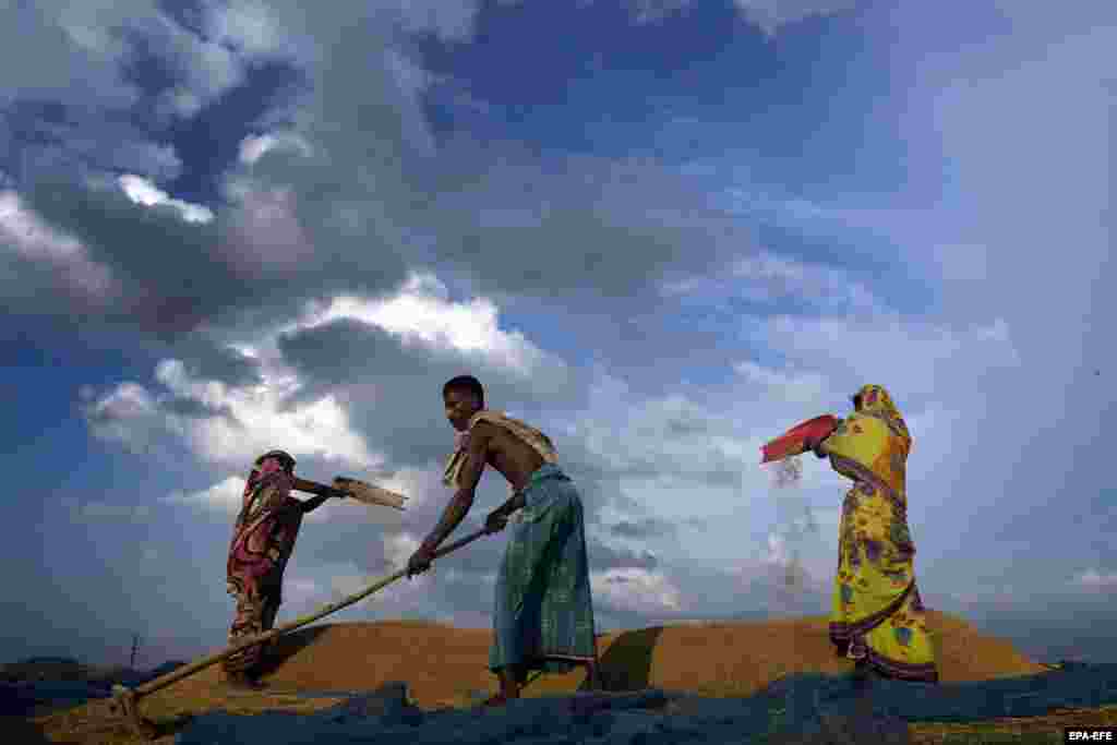 A family dries their harvested Rabi crop on the outskirts of Guwahati, India. (epa-EFE)