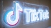 TikTok was one of the big-tech firms singled out by the European Commission's vice president for needing to do more to stop Russian disinformation.