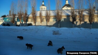 Вудманнан жаңа онлайн порно Анселина Чоли секс
