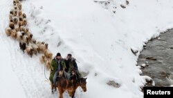 Этнические казахи в Синьцзяне перегоняют скот. 12 марта 2015 года.