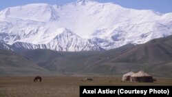 Пастбище в Алайском районе. Иллюстративное фото.