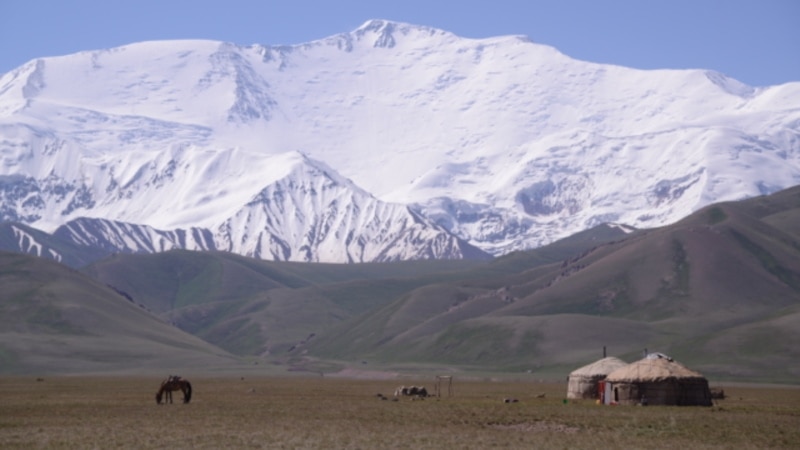 Сулайманкулов: Өзбекстанга жайыт берилет деген маалымат чындыкка дал келбейт