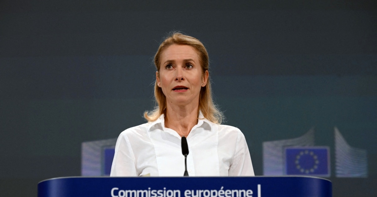 ამ ეტაპზე საქართველოს ევროკავშირისკენ მიმავალი გზა არ აქვს - კაია კალასი