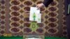 В Туркменистане пройдут парламентские выборы