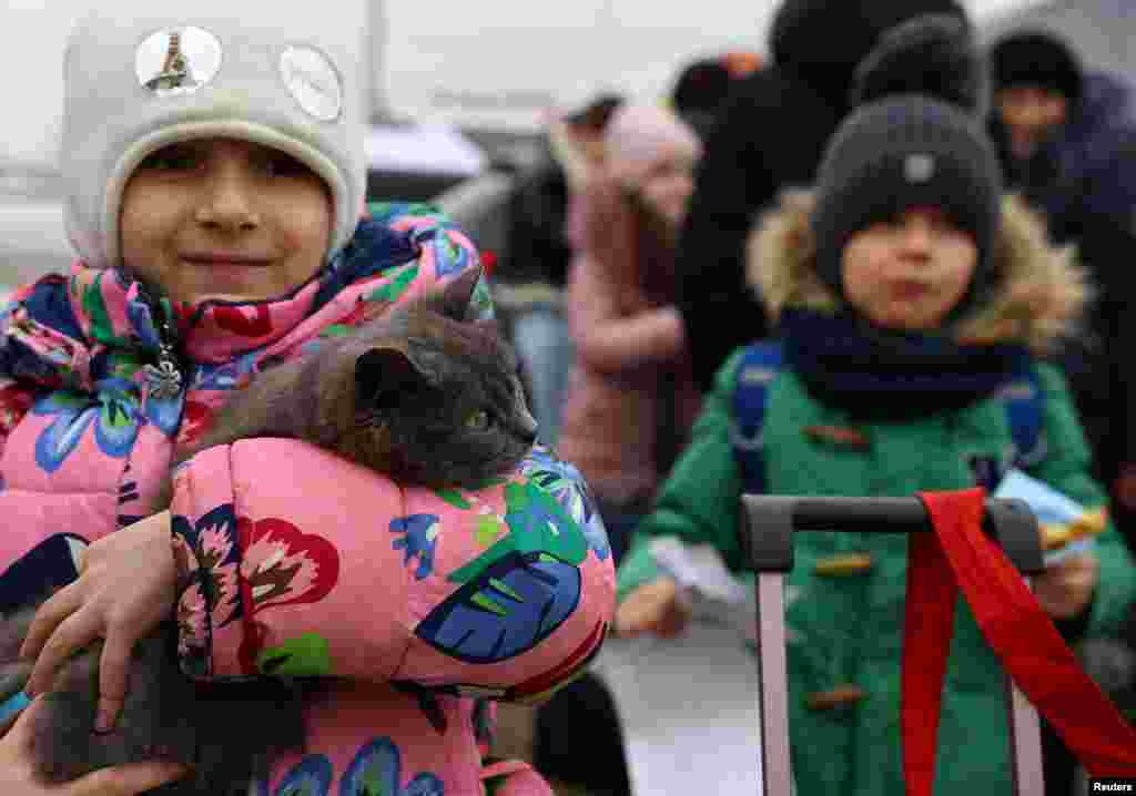 Українська дівчина, яка втекла з матір&#39;ю від російського вторгнення в Україну, тримає свого кота в очікуванні переведення у тимчасовий табір у Перемишлі, Польща, 2 березня 2022 року